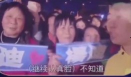 小助理爆料全过程视频,揭秘幕后真相